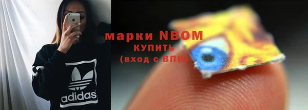 молекула духа Белоозёрский