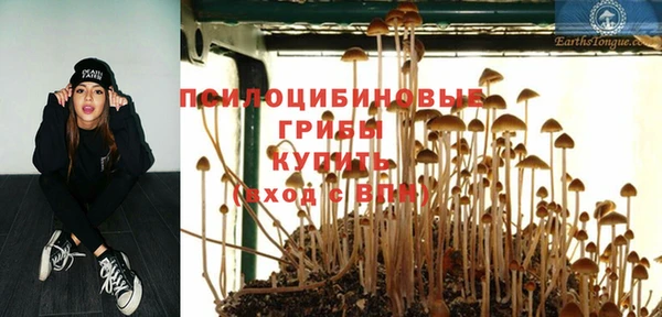 спиды Белокуриха