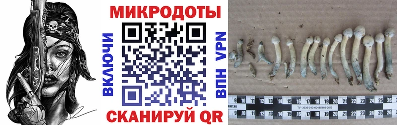 Псилоцибиновые грибы прущие грибы  KRAKEN маркетплейс  Брюховецкая 