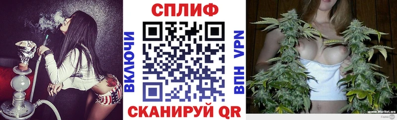 Шишки марихуана Bruce Banner  Брюховецкая 